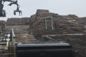 Tsubaki for the Forestry Industry